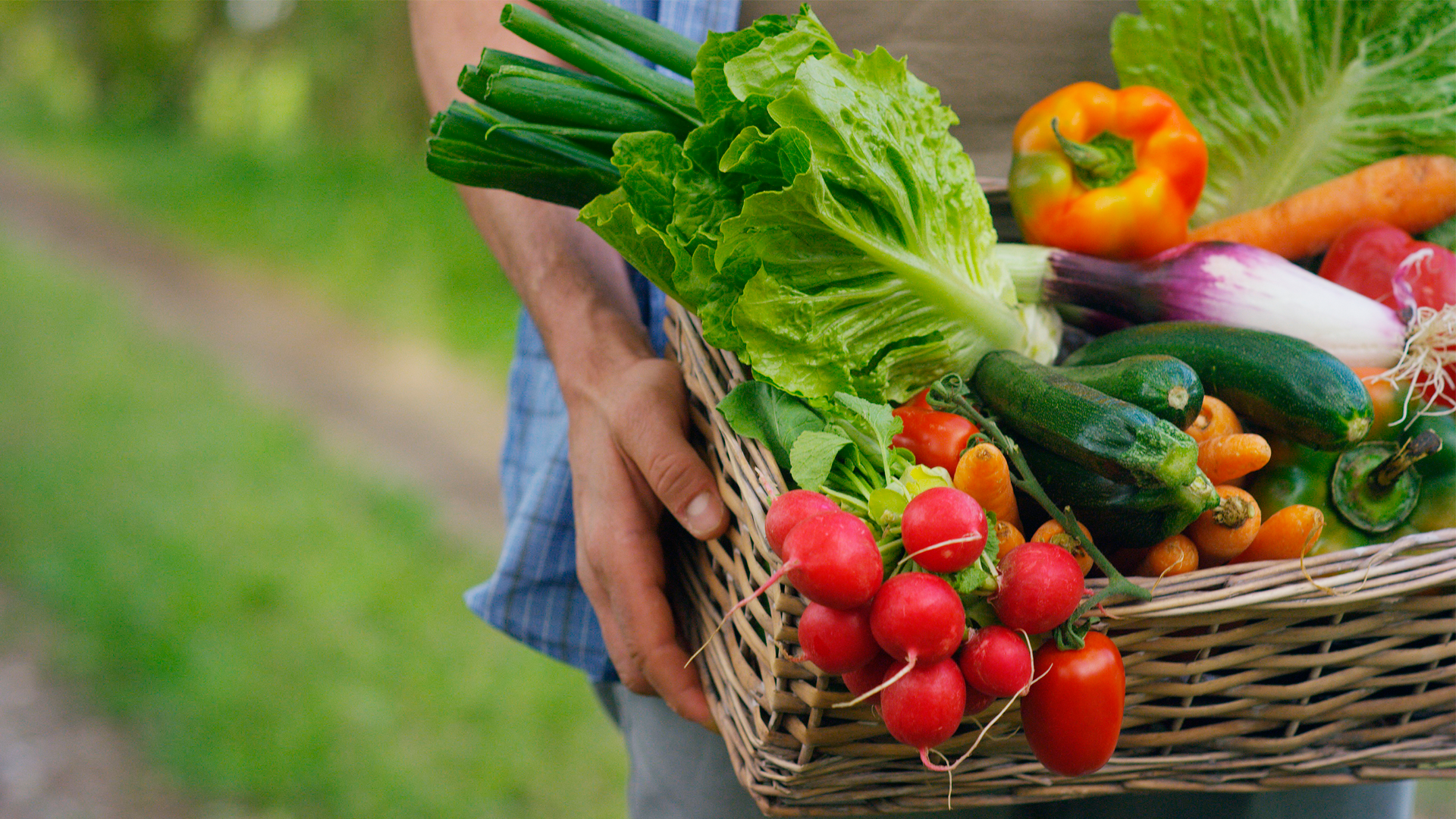 Persona carga canasta con productos agrícolas frescos. IPC marzo 2023.