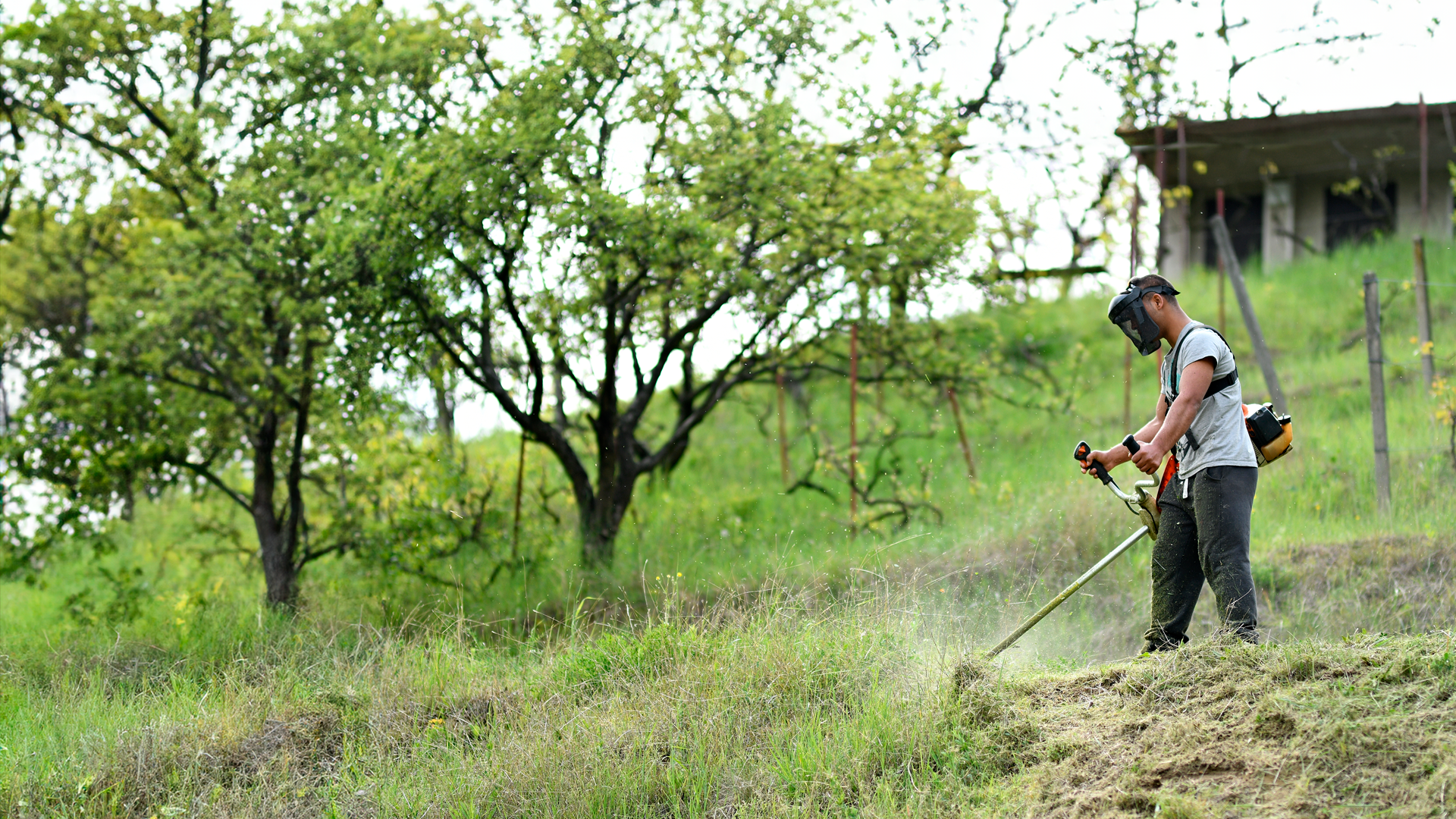 Hombre trabaja en corte de pasto en finca rural. ECE. Primer trimestre 2024.