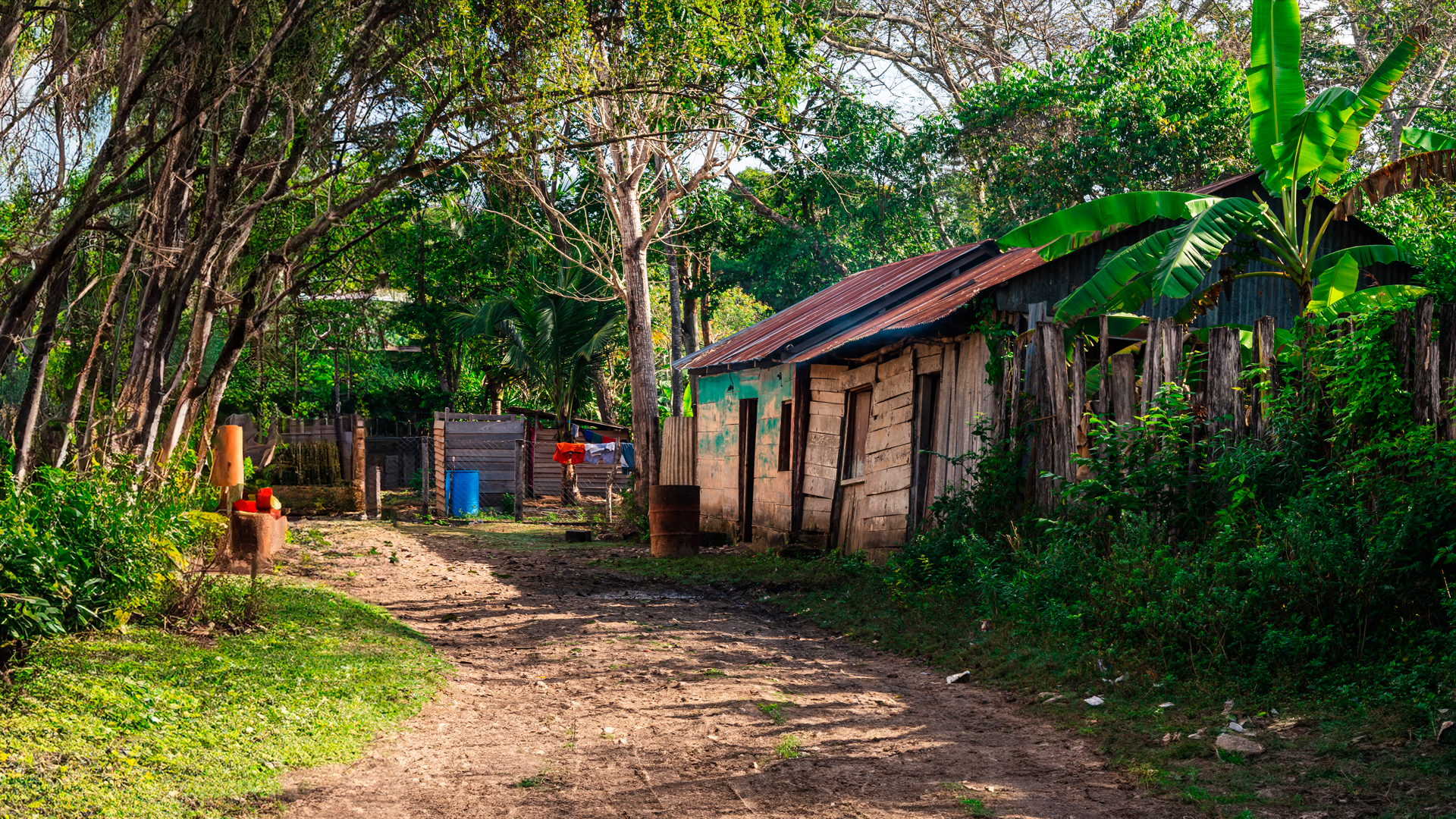 Casa de madera en zona rural. ENAHO 2024. Resultados.