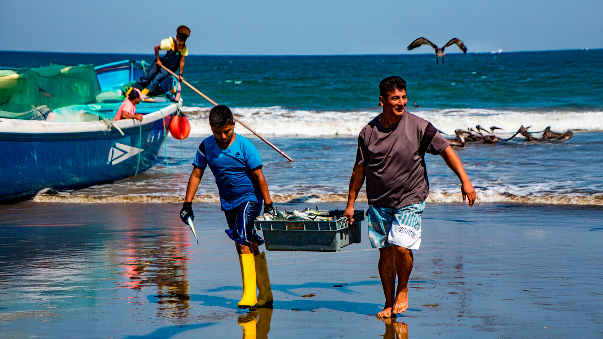 Pescadores artesanales salen caminando a la playa con caja de peces recién capturados. ECE. TRIM NDE 2024-2025.