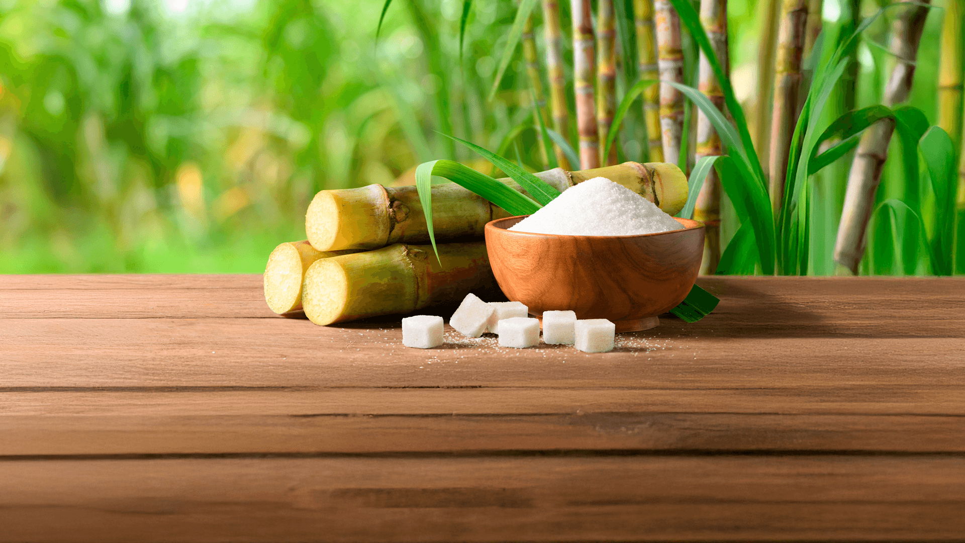 Imagen ilustrativa. Caña de azúcar cortada, junto a una mesa con taza de azúcar refinada y cubos de azúcar en una mesa. Resultados ENA 2024. Cultivos.