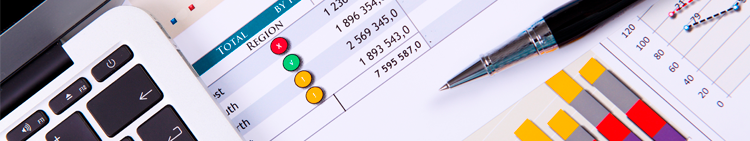 INEC FORMULA PLAN-PRESUPUESTO 2023