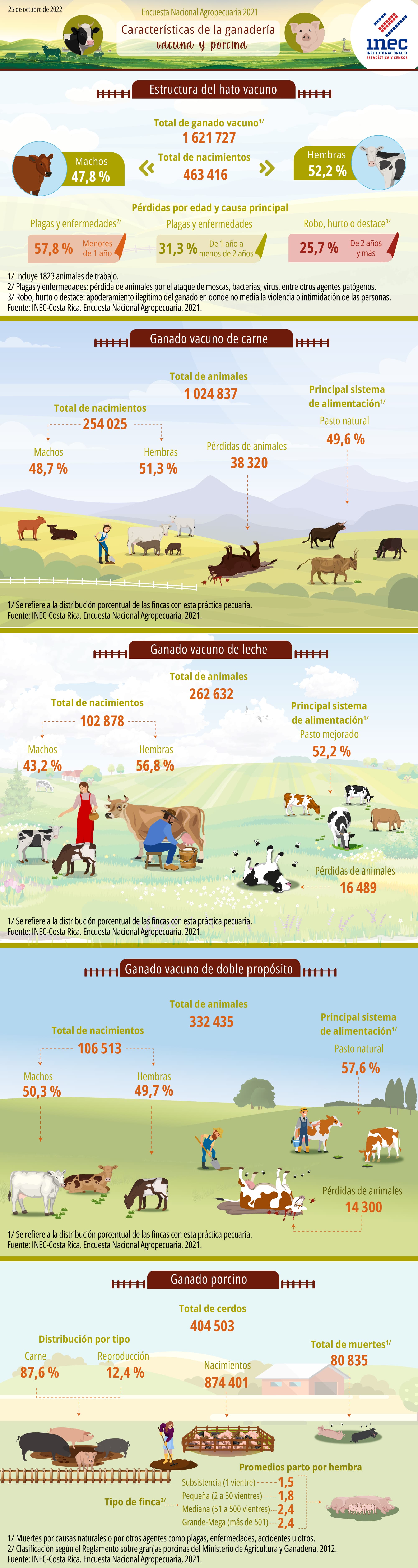 ENA 2021. Infografía. Características de la  ganadería vacuna y porcina en Costa Rica.