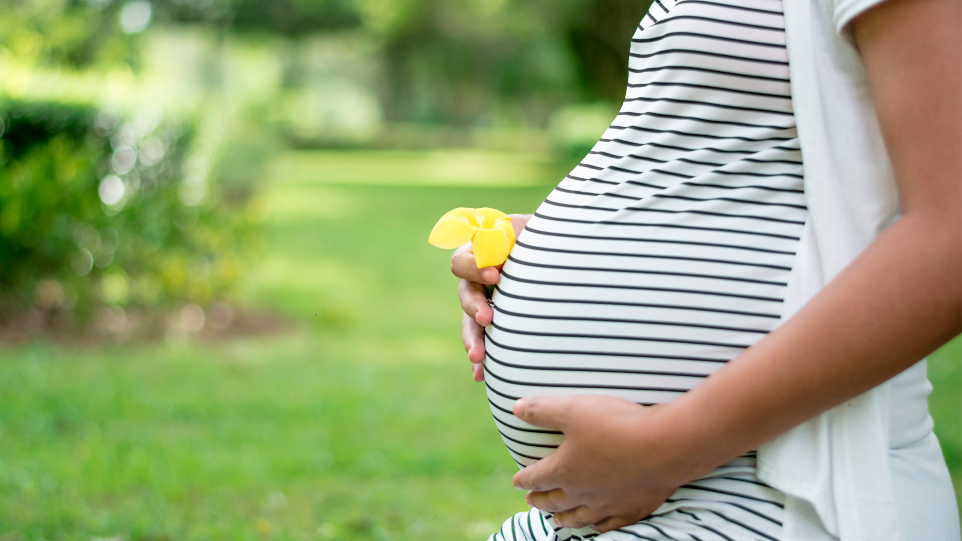 Mano acaricia vientre de mujer embarazada, mientras la otra mano sostiene flor amarilla. Indicadores Demográficos 2022. Resultados definitivos.
