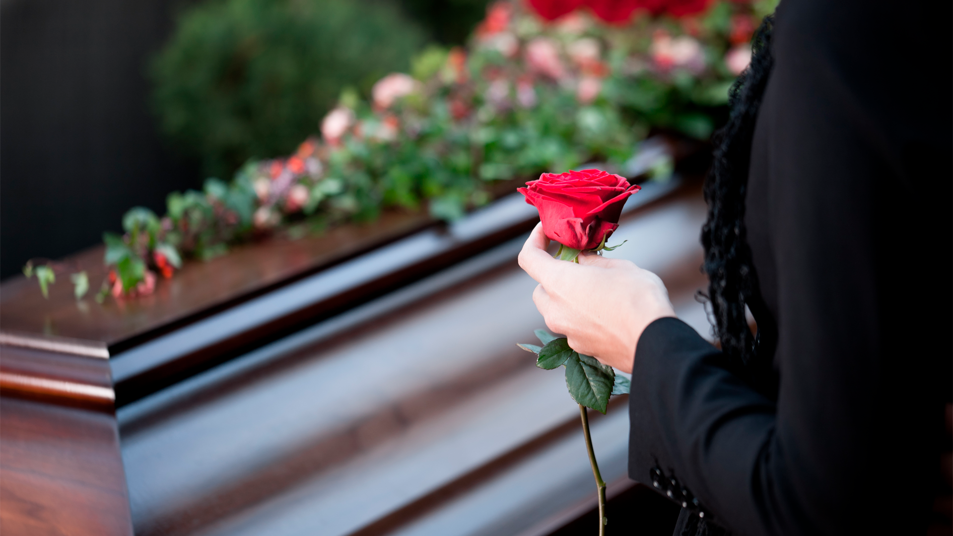 Mano de mujer sostiene roja roja frente a féretro en un funeral. Día de los Fieles Difuntos 2023.