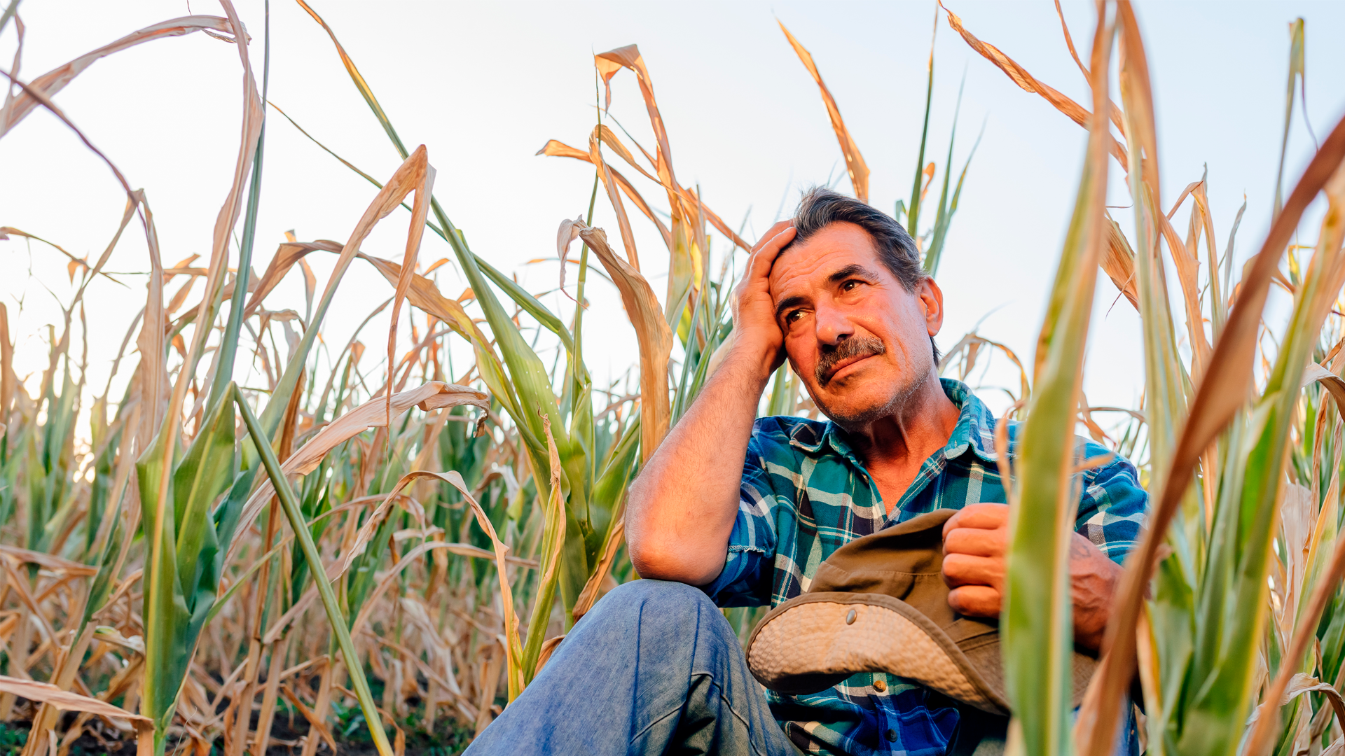 Campesino adulto sentado en sembradío de maíz. ECE - ASO 2023.